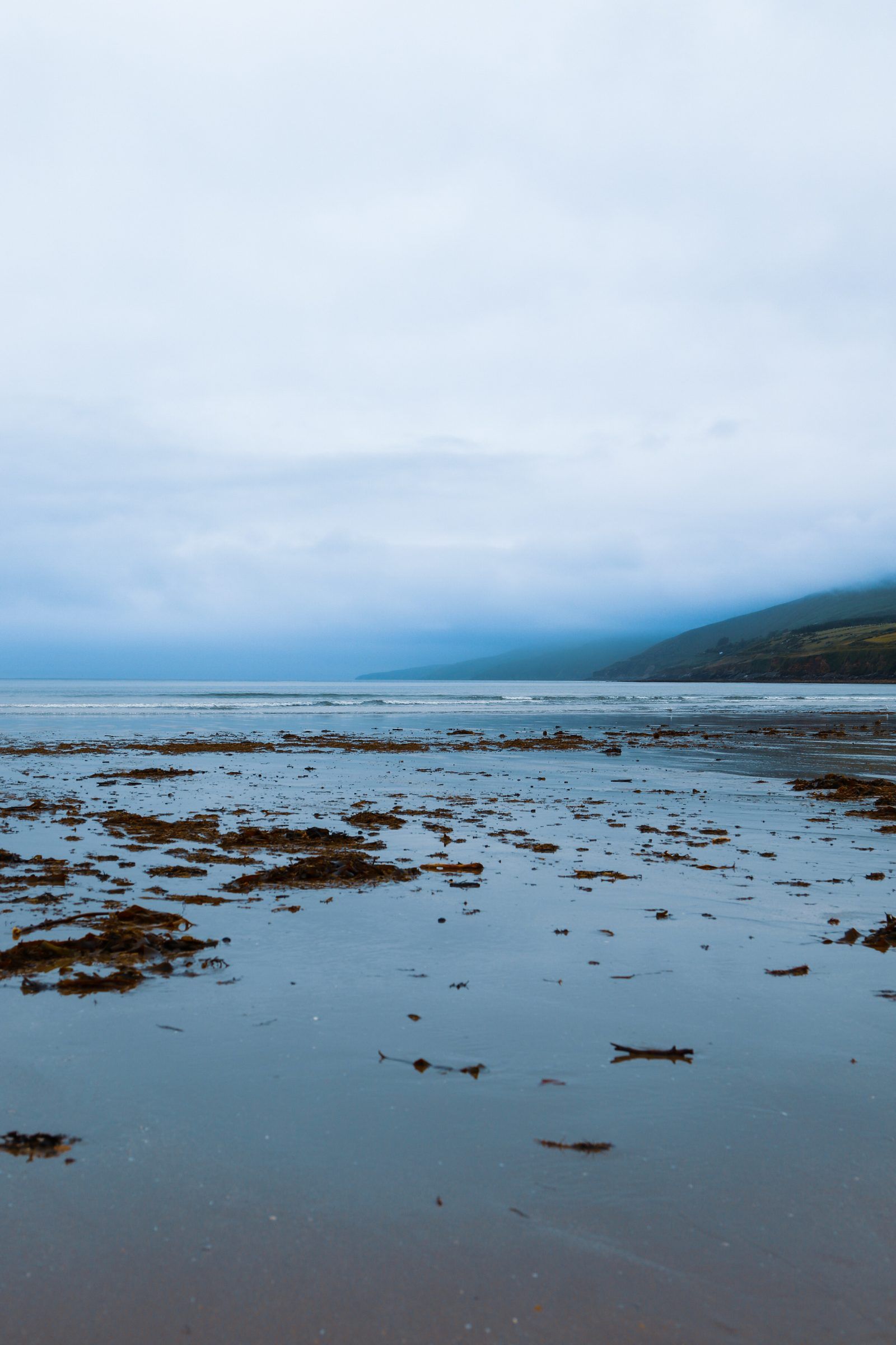 Seaweed scattered across wet blue tidal flats, a headland fading into mist on the far side of the bay