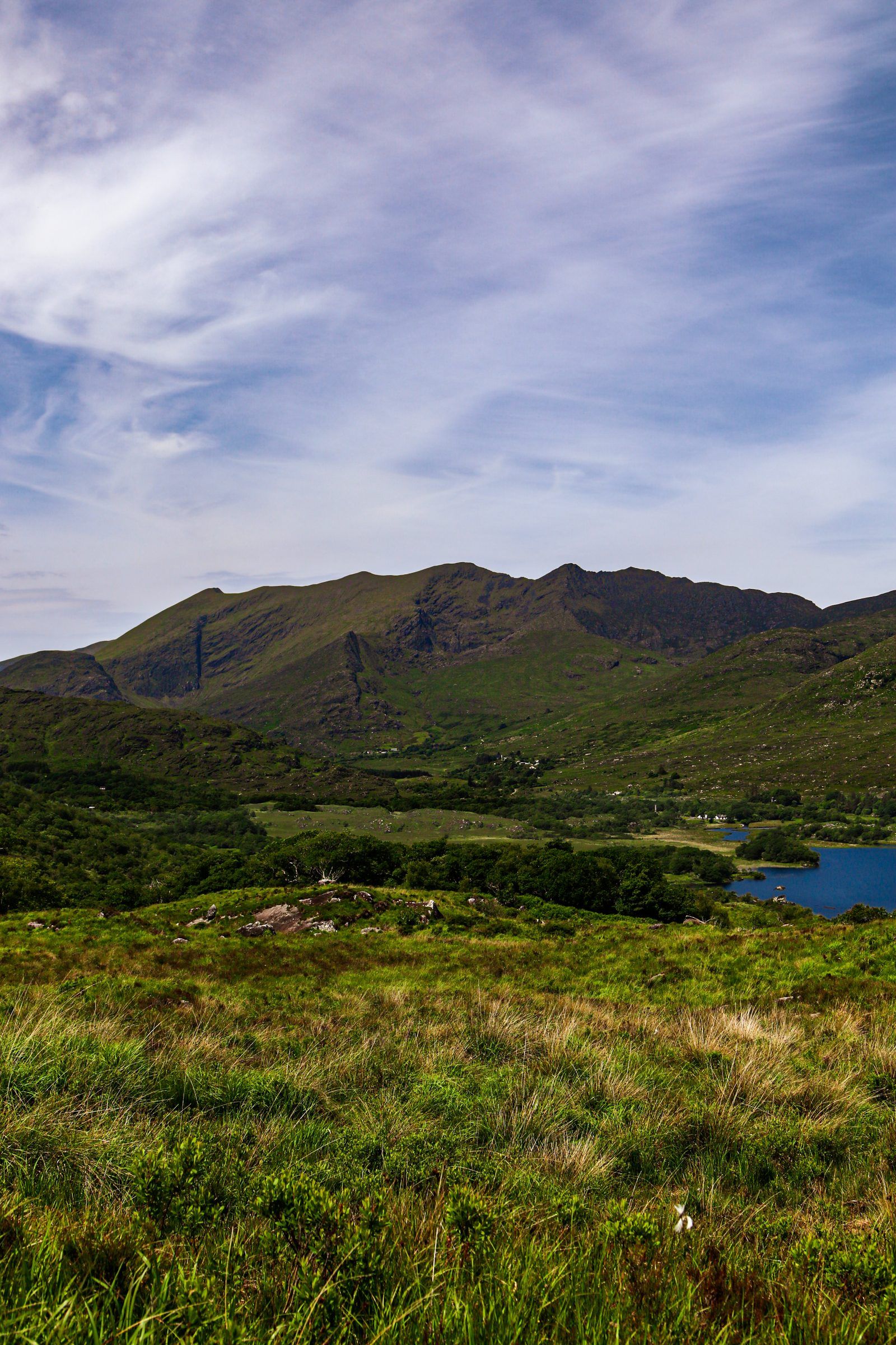 Rough green moorland falling away to woods and a blue lake beneath dark mountains and wispy cloud