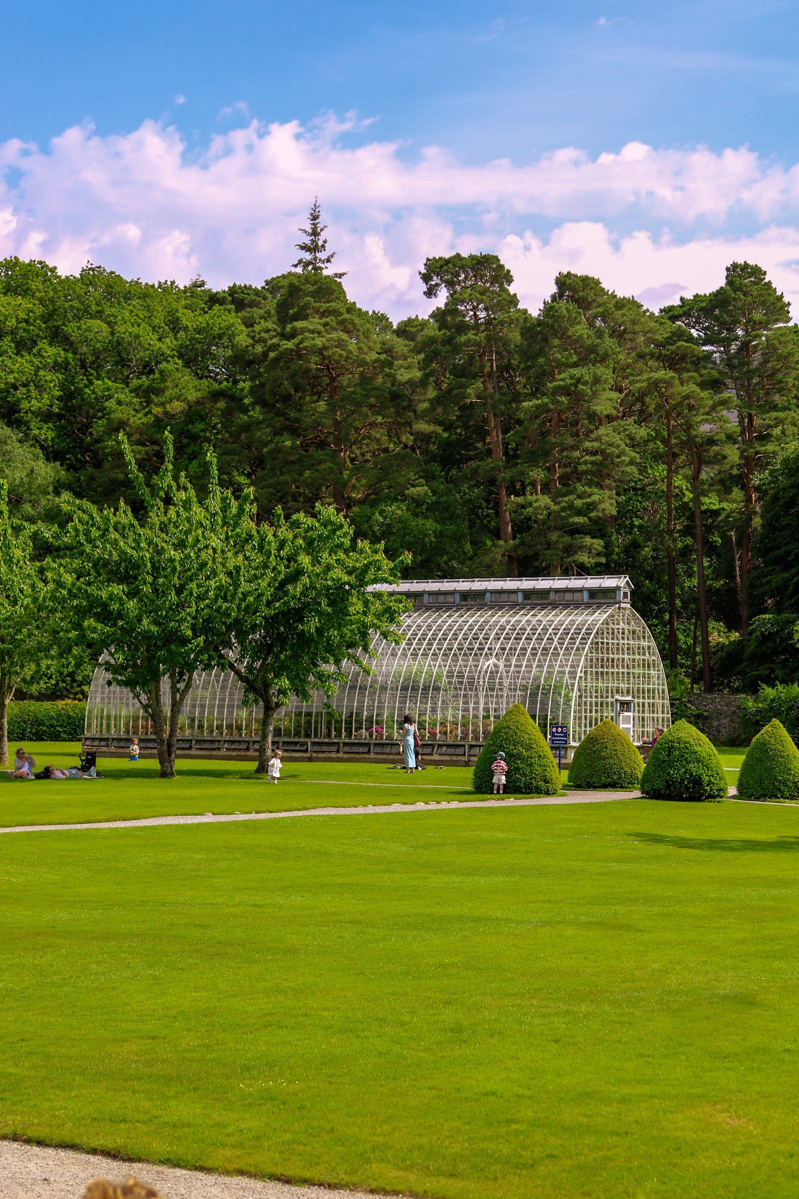 A curved Victorian glasshouse at the edge of a lawn with clipped topiary, tall pines behind
