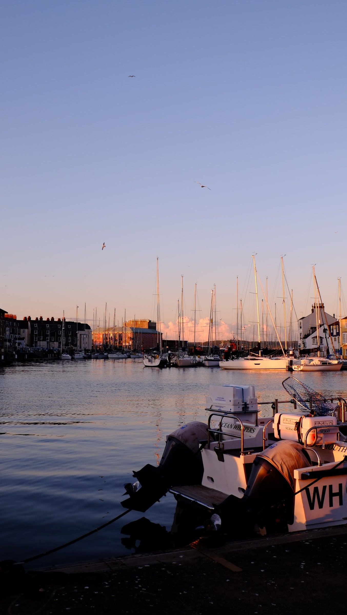 A small motorboat at its mooring in calm water as the marina glows in the evening light