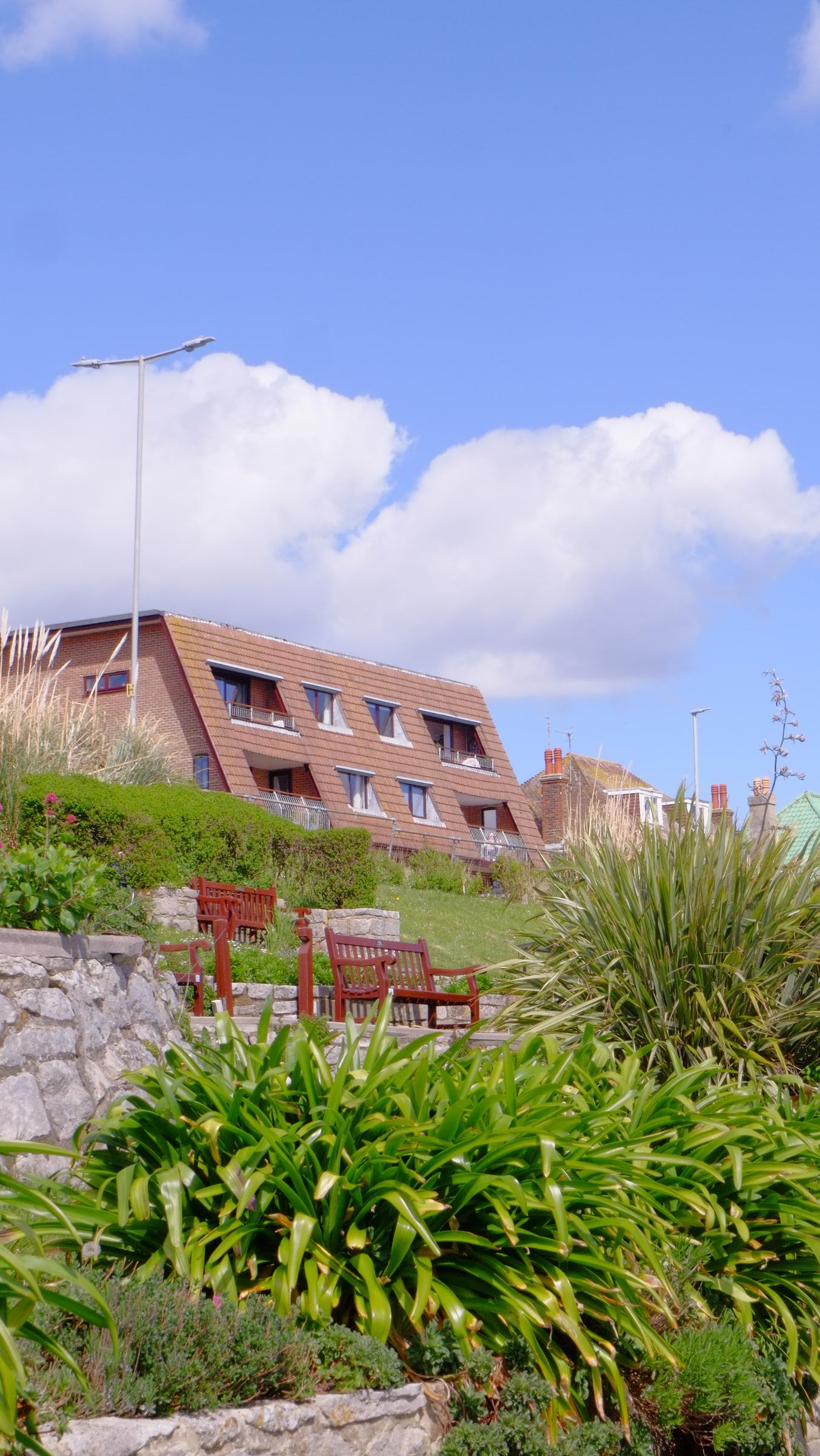 Palms and flowering plants in a terraced garden below a modern building, under a bright blue sky