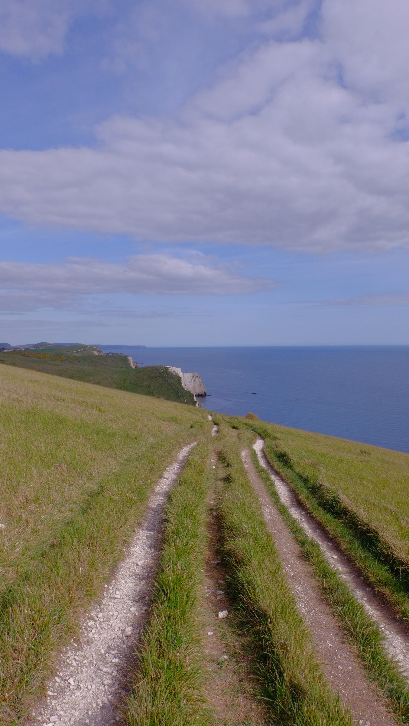 A chalky farm track running along green clifftops towards white cliffs and the sea