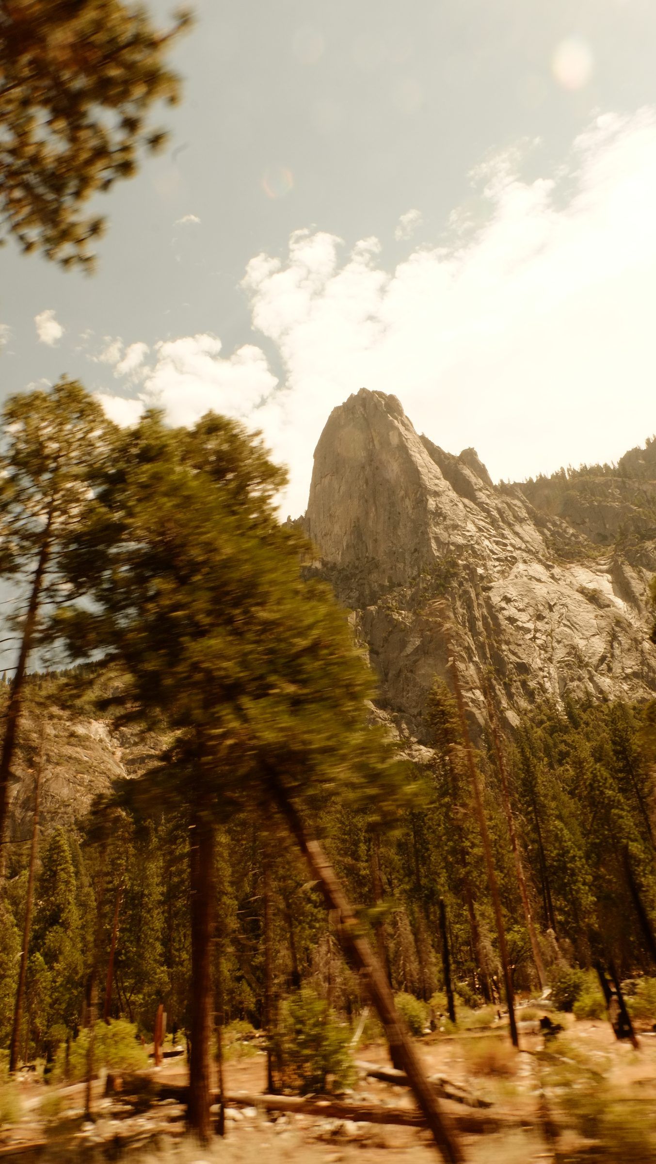 A granite peak rising behind tall pines blurred by motion, bright clouds overhead