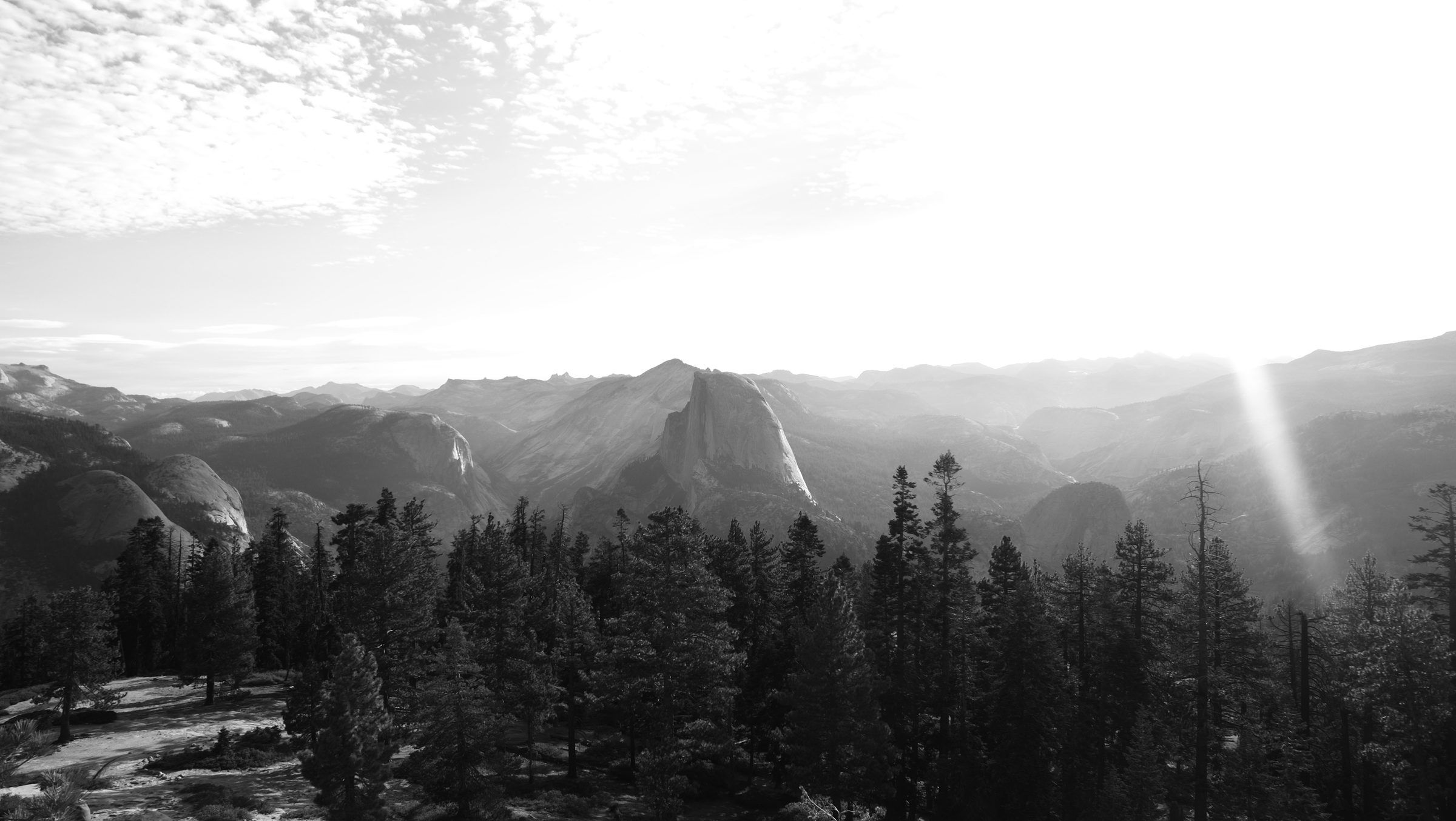 A black-and-white panorama of Half Dome and layered mountain ridges beyond a line of pines, a sun flare on the right
