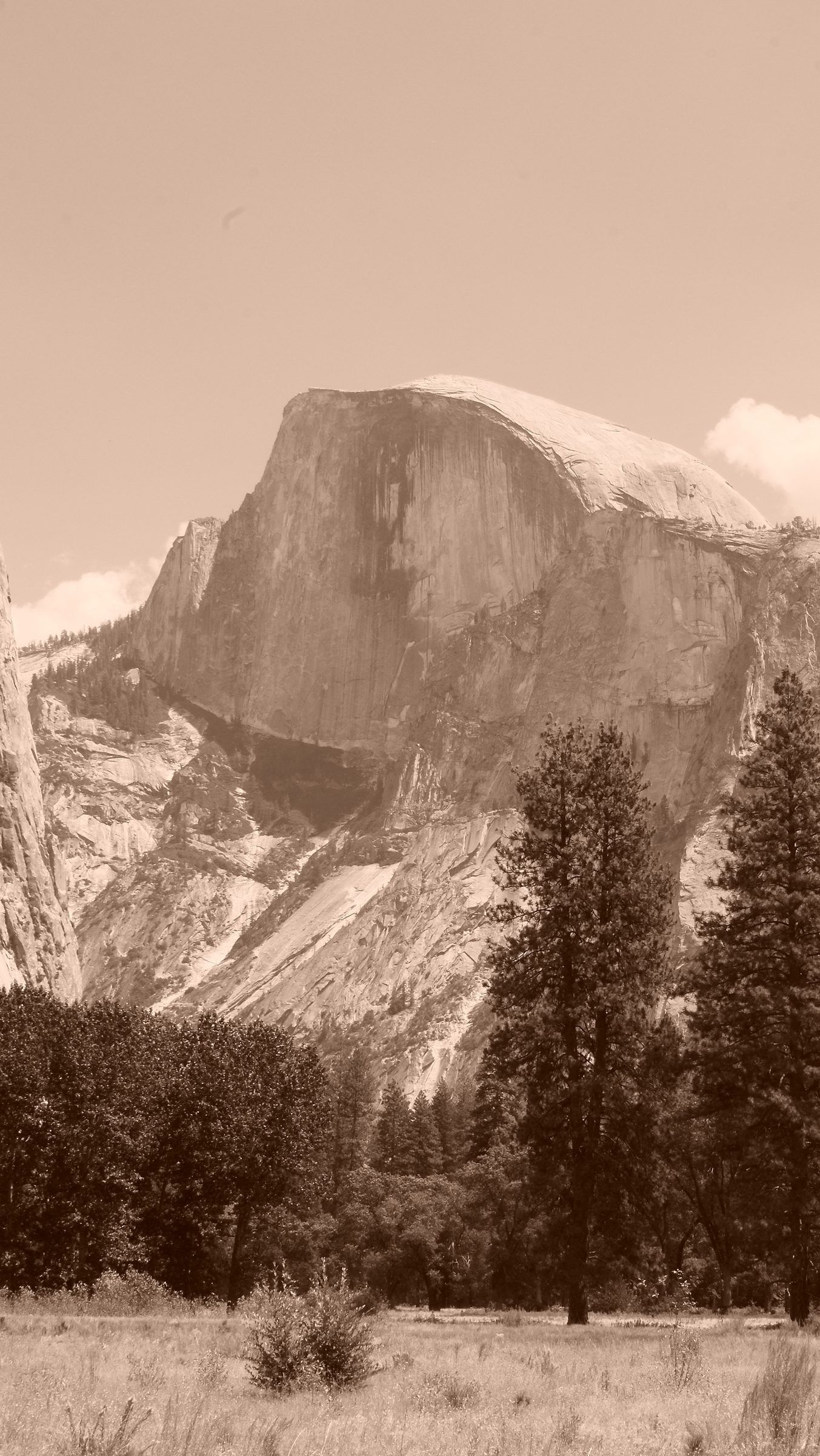 A sepia view of Half Dome's sheer face towering over pines and a meadow on the valley floor